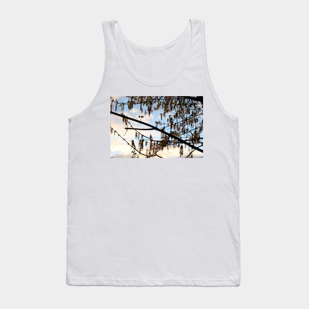 sunset through wind blown tree Tank Top by LeighsDesigns